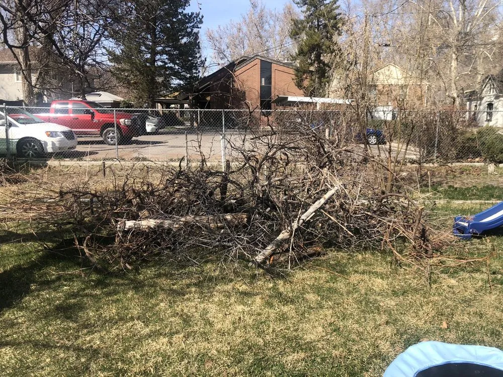 Professional landscape design experts serving West Valley City, UT - Chingon Landscaping