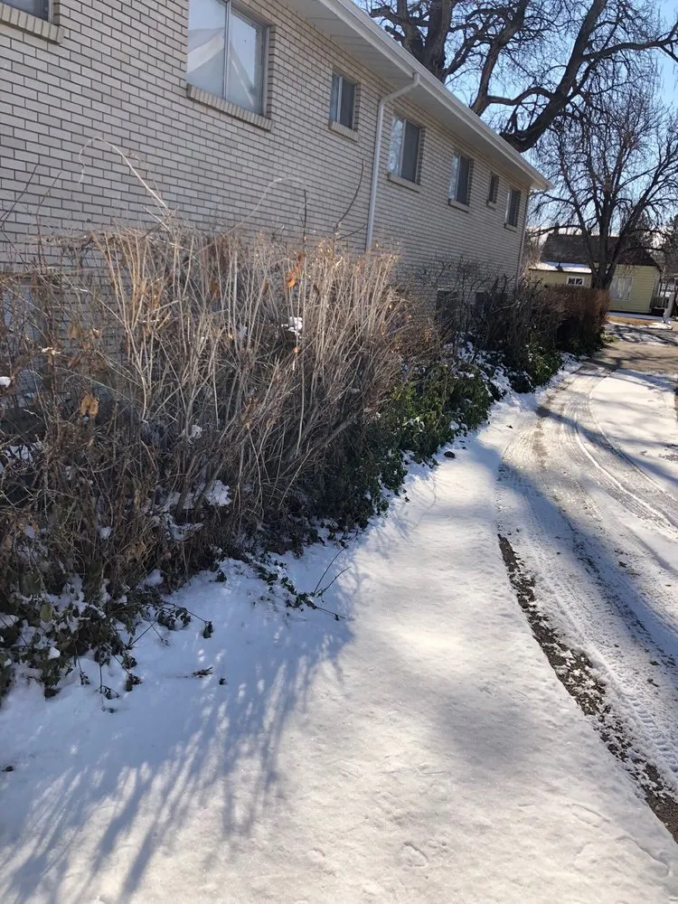 Custom lawn care service for beautiful yards in West Valley City, UT by Chingon Landscaping