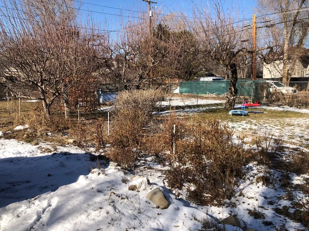 Reliable landscaping services experts serving West Valley City, UT - Chingon Landscaping