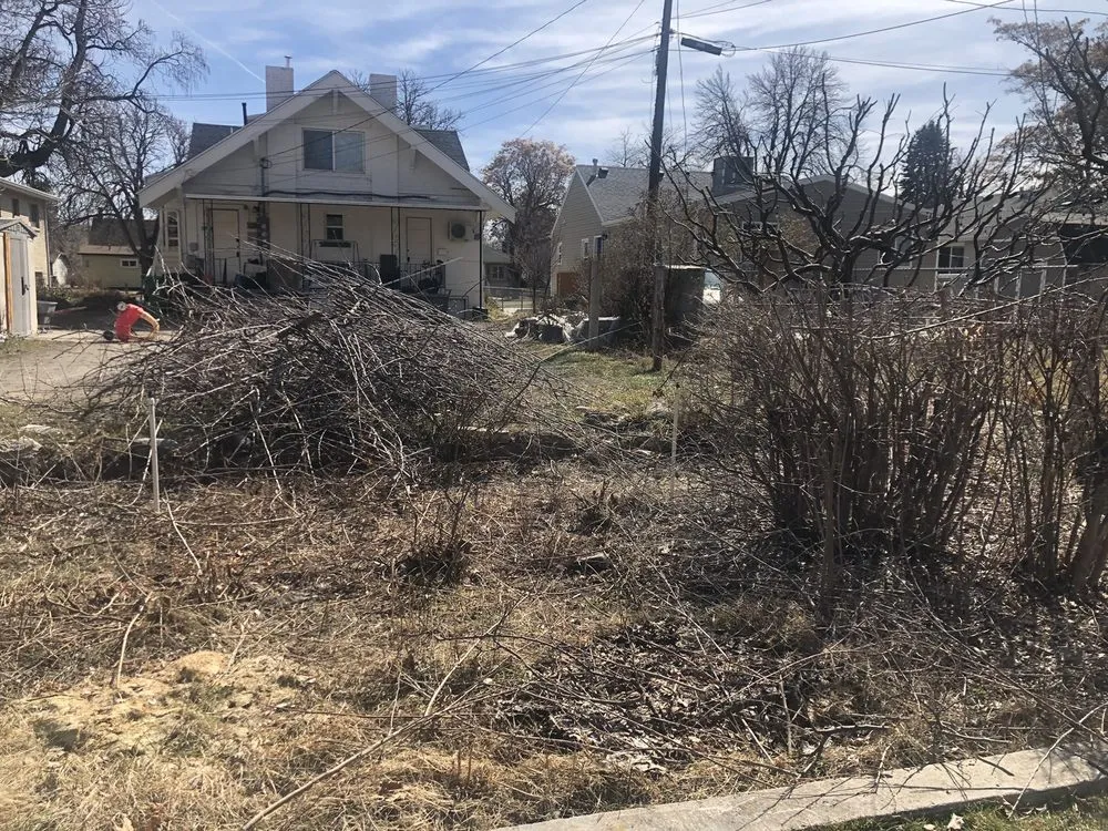 Top-rated lawn care service experts serving West Valley City, UT - Chingon Landscaping