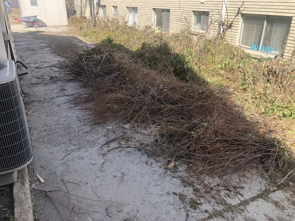 Expert lawn care service for homes across West Valley City, UT - Chingon Landscaping