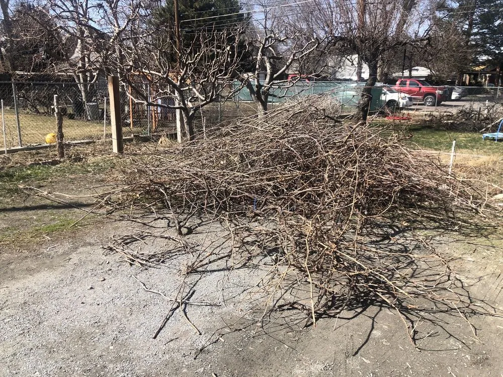 Professional landscaping services experts serving West Valley City, UT - Chingon Landscaping