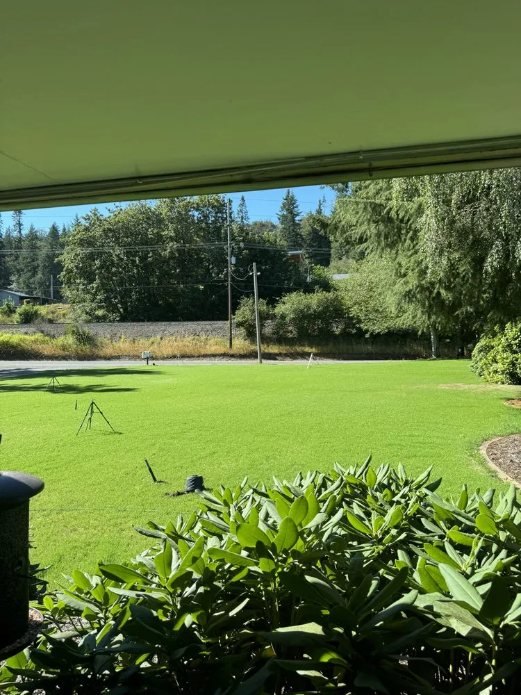 Expert yard cleanup service for homes in Olympia, WA by Chinook Hydroseeding