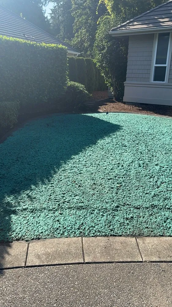 Trusted residential landscaping in Olympia, WA by Chinook Hydroseeding