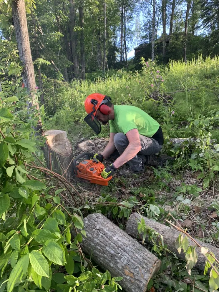 Reliable outdoor landscaping near you in Anchorage, AK by Chinook Tree Services