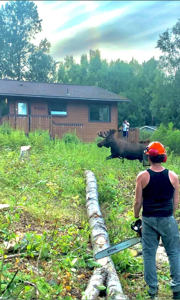 Expert garden landscaping for outdoor upgrades in Anchorage, AK by Chinook Tree Services