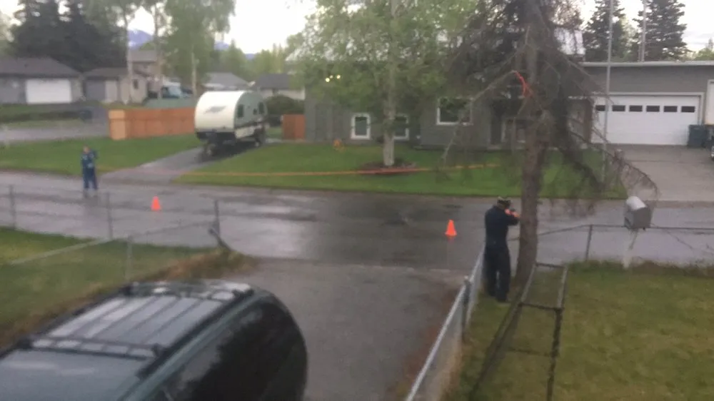 Custom lawn mowing service in Anchorage, AK - Chinook Tree Services