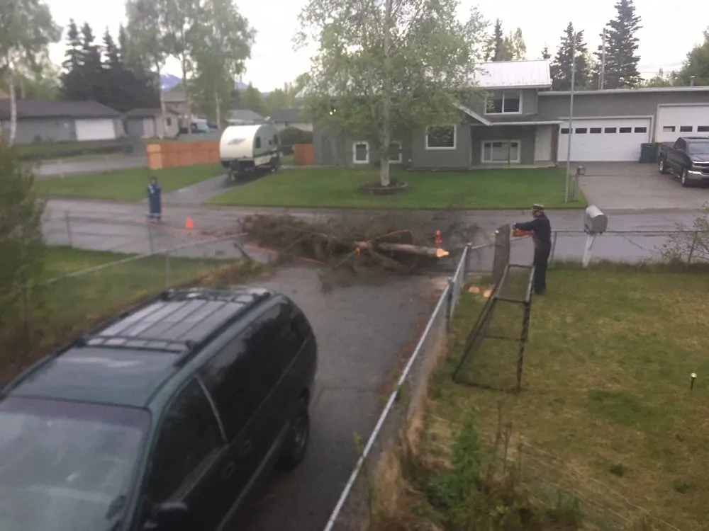 Local outdoor landscaping with custom design in Anchorage, AK by Chinook Tree Services