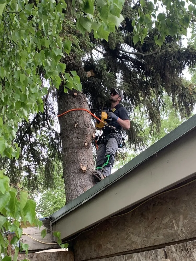 Reliable lawn care service for outdoor upgrades in Anchorage, AK by Chinook Tree Services