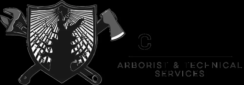 Reliable yard maintenance for residential properties in Anchorage, AK by Chinook Tree Services