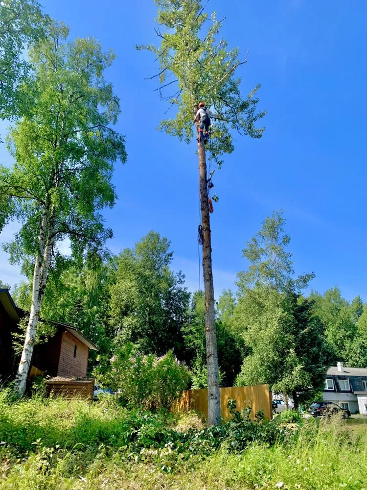 Affordable garden landscaping with custom design in Anchorage, AK by Chinook Tree Services