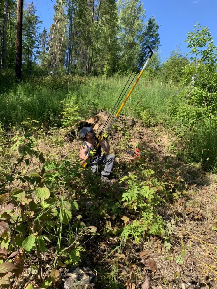 Expert lawn mowing service in Anchorage, AK - Chinook Tree Services