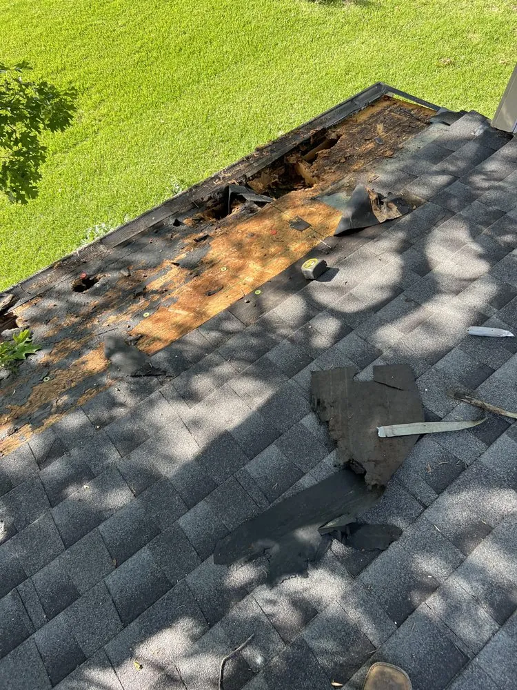 Top-rated landscape installation in Corsicana, TX - Chino's