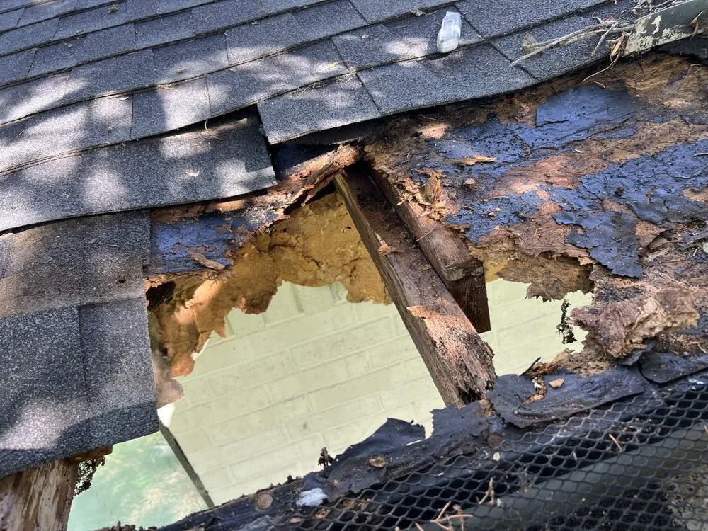 Local landscape installation experts serving Corsicana, TX - Chino's