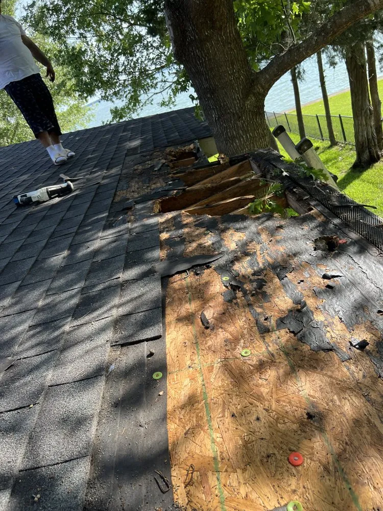 Top-rated garden landscaping for year-round maintenance in Corsicana, TX by Chino's