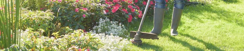 Custom yard cleanup service in Chelan Falls, WA - Chinos Home Improvements