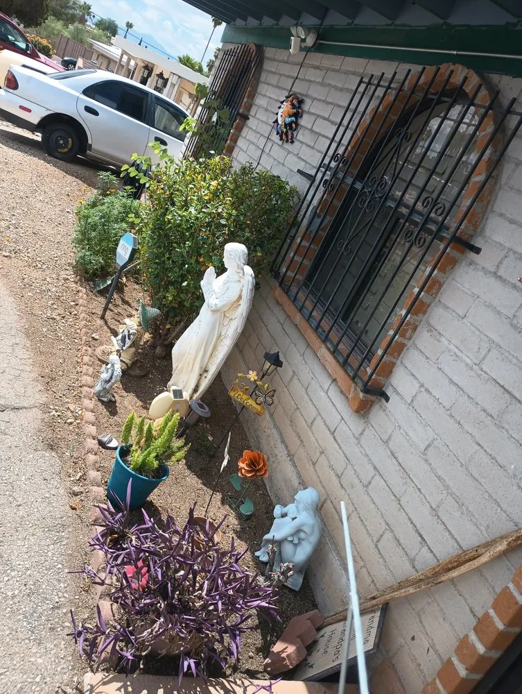 Expert yard maintenance for year-round maintenance across Tucson, AZ - Chino's Yard And Housework Clean Up