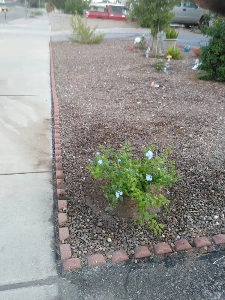 Expert outdoor landscaping for residential properties in Tucson, AZ by Chino's Yard And Housework Clean Up
