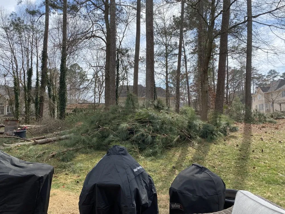 Local garden landscaping for beautiful yards across Douglasville, GA - Chip & Saw Land Management