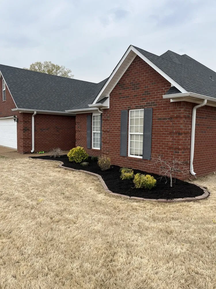 Trusted yard cleanup service in Adamsville, TN by Chip Go Rilla