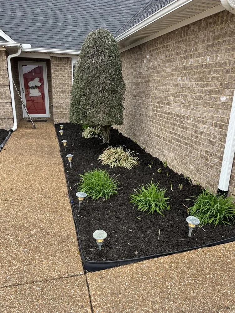 Affordable yard cleanup service with custom design in Adamsville, TN by Chip Go Rilla