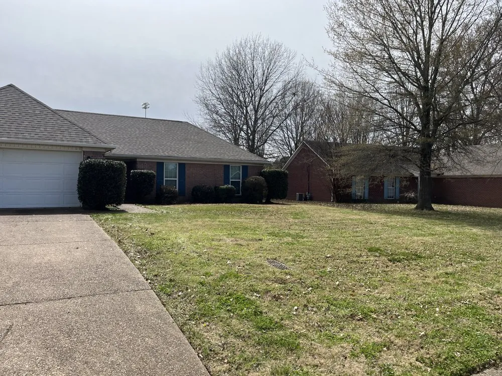 Trusted yard cleanup service with custom design in Adamsville, TN by Chip Go Rilla