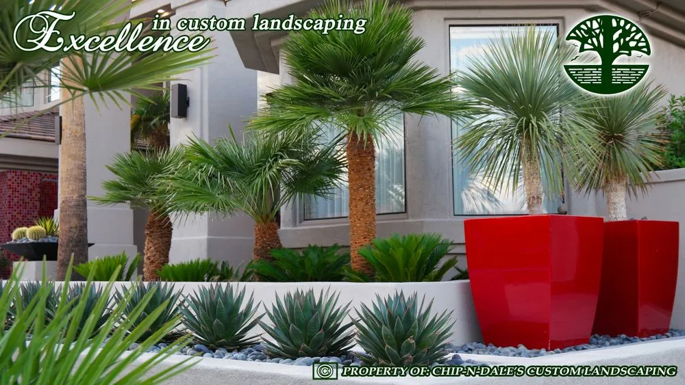 Custom landscaping services for residential properties in Las Vegas, NV by Chip-n-Dale's Custom Landscaping