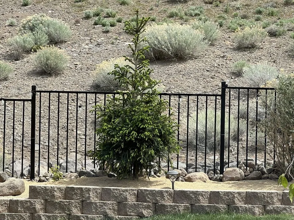 Reliable landscape installation in Reno, NV - Chipis Landscaping