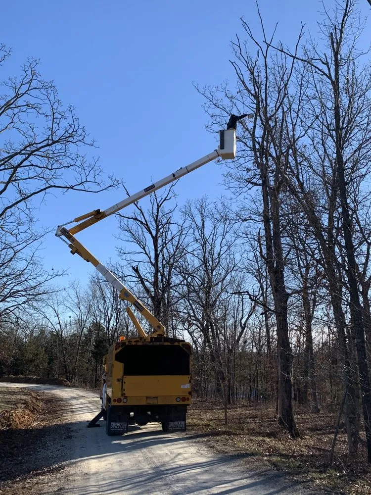 Custom lawn mowing service in St. Louis, MO - Chipper Tree