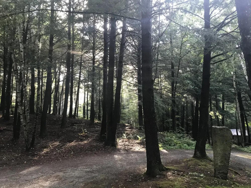 Top-rated landscape design in Meredith, NH by Chippers