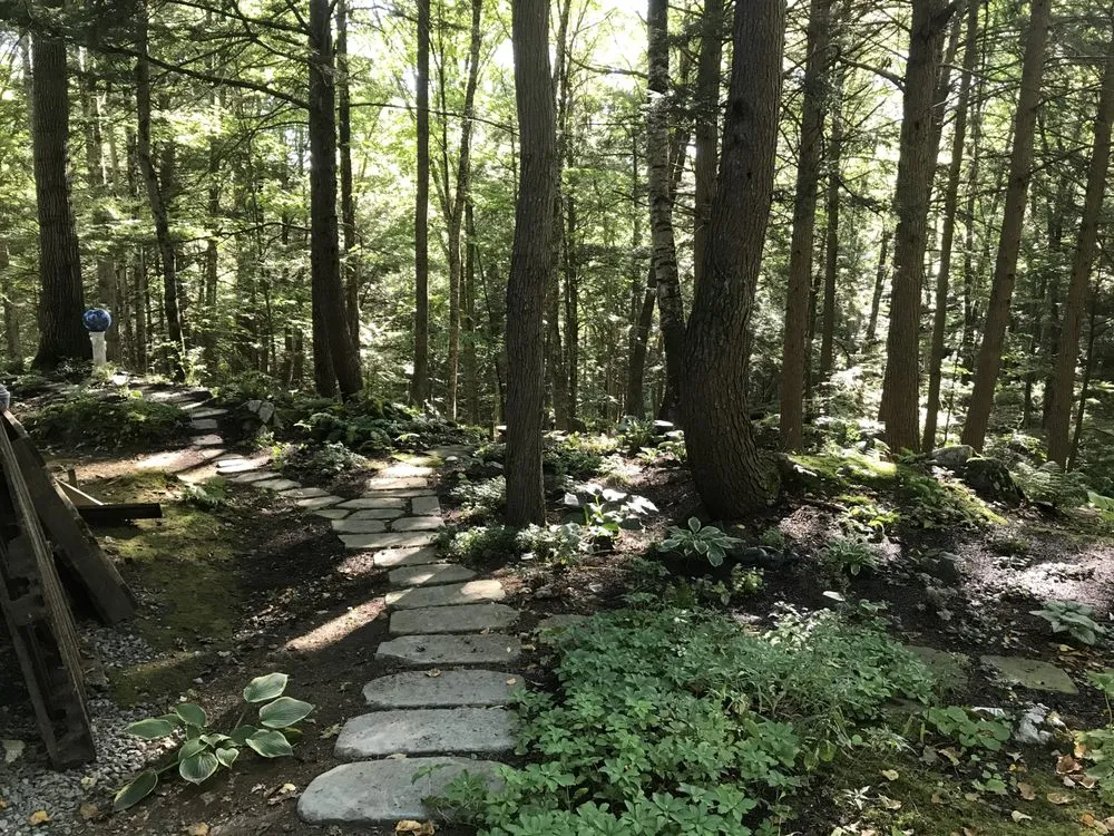 Trusted yard maintenance in Meredith, NH - Chippers