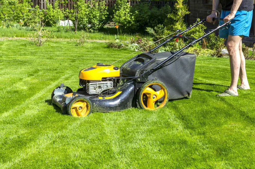 Custom landscape design experts serving North River, ND - Chips Clips Lawn Care and Snow Removal