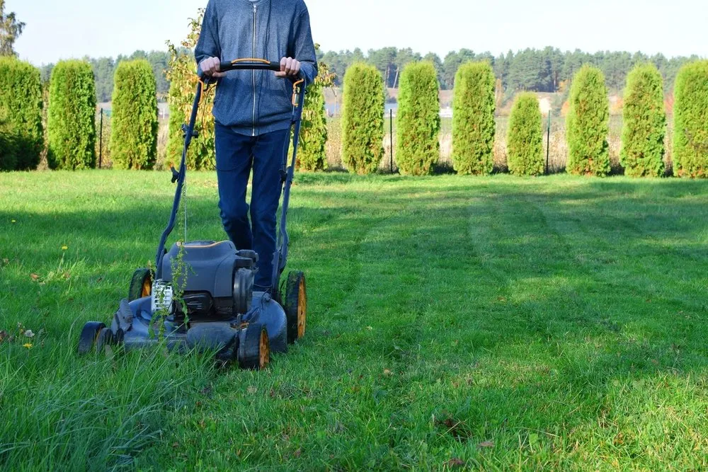 Local yard cleanup service for outdoor upgrades in North River, ND by Chips Clips Lawn Care and Snow Removal