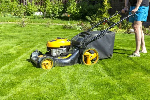 Chips Clips Lawn Care and Snow Removal
