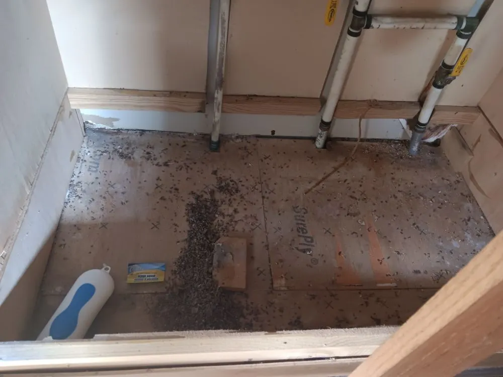 Local yard maintenance in Roanoke, VA by Chip's Home & Lawn Care