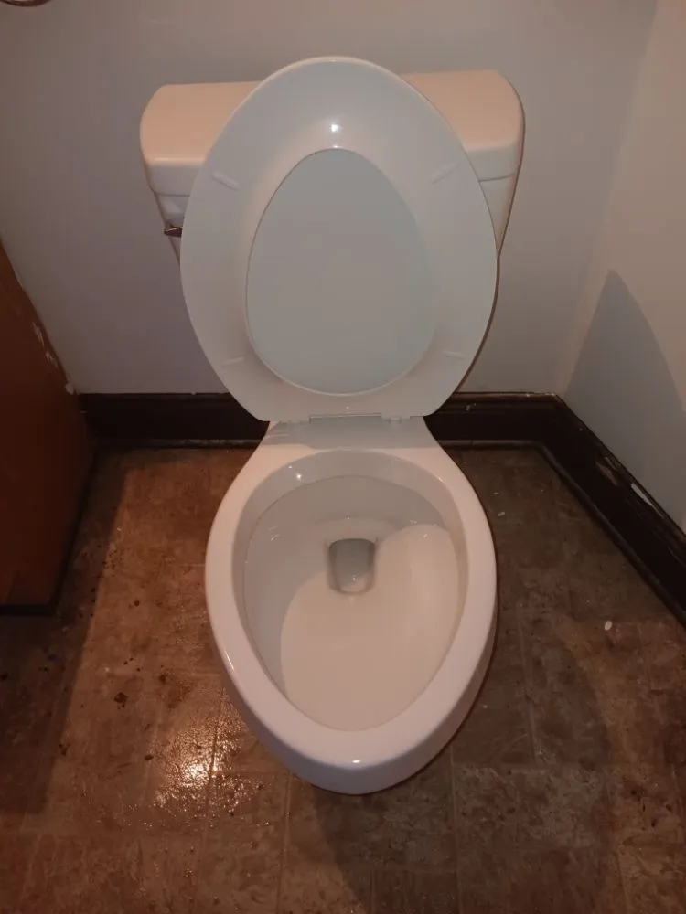 Expert landscape installation for homes in Roanoke, VA by Chip's Home & Lawn Care