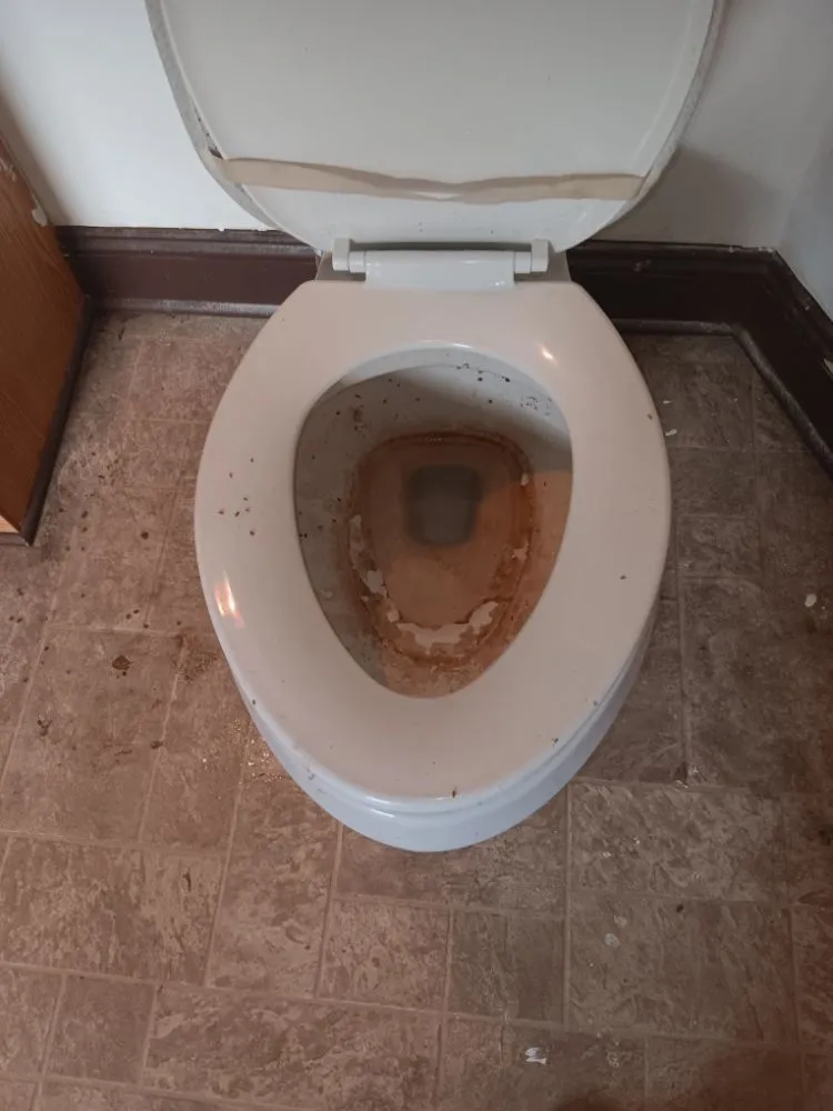 Affordable garden landscaping experts serving Roanoke, VA - Chip's Home & Lawn Care