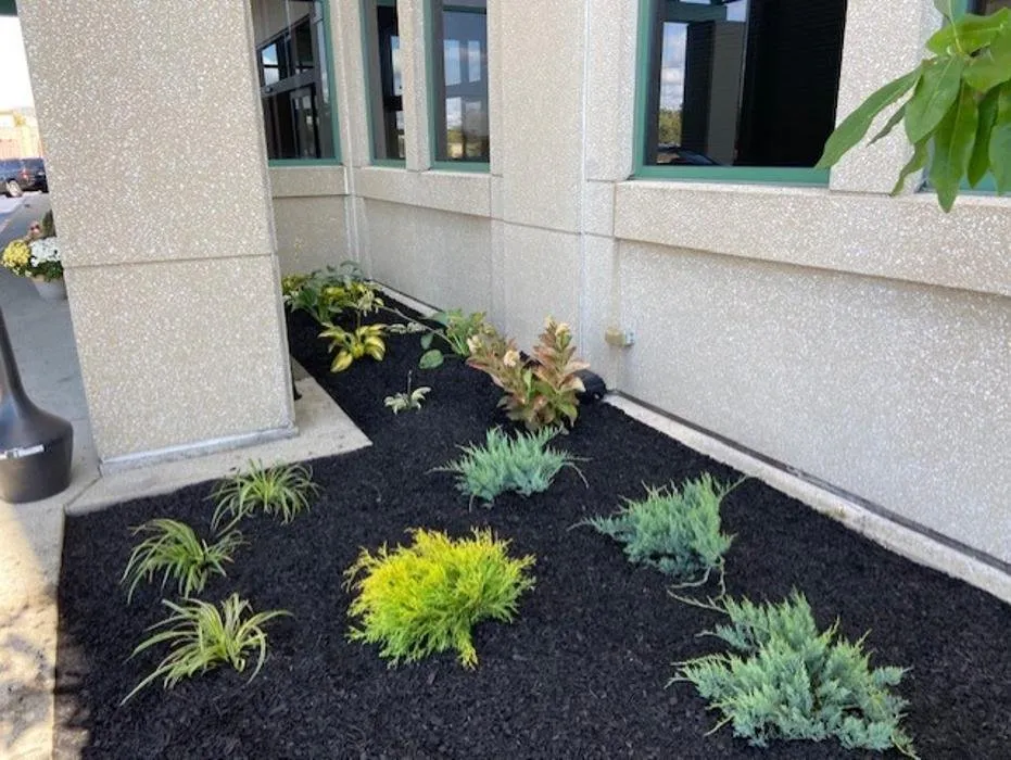 Expert yard maintenance in Cleves, OH by Chip's Landscaping