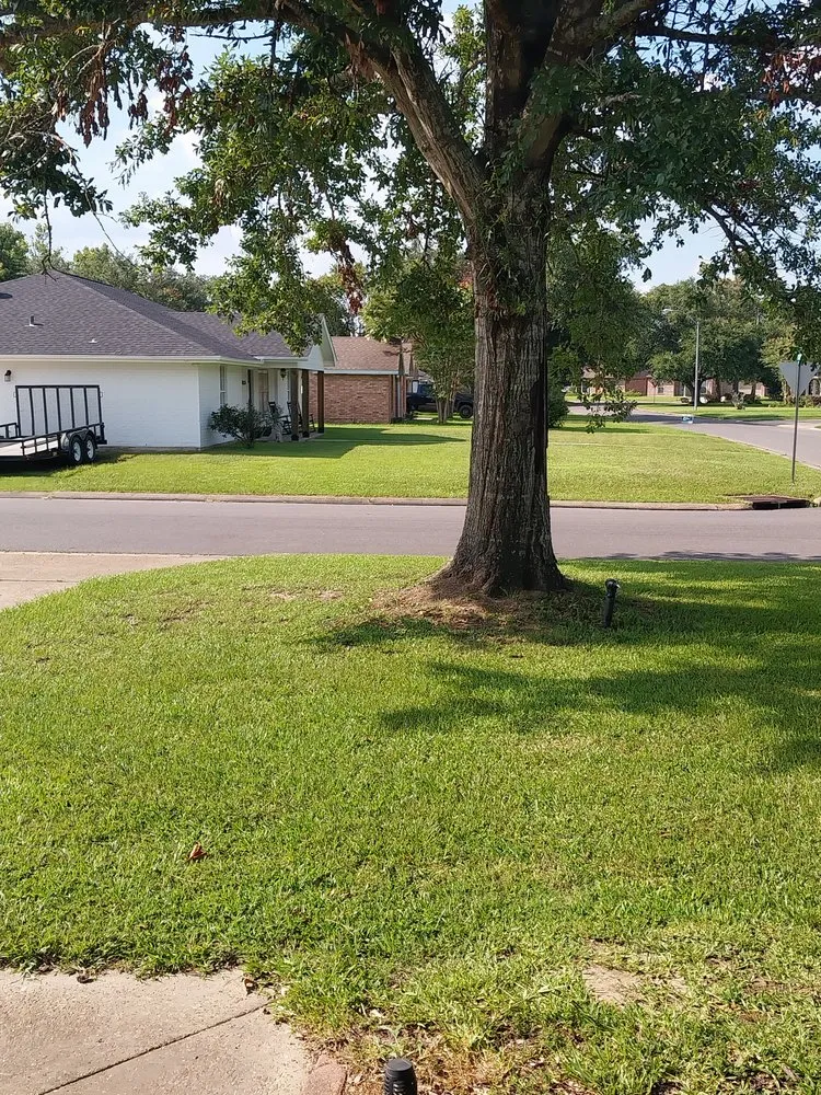 Professional residential landscaping in Lake Charles, LA - Chips Lawn Services