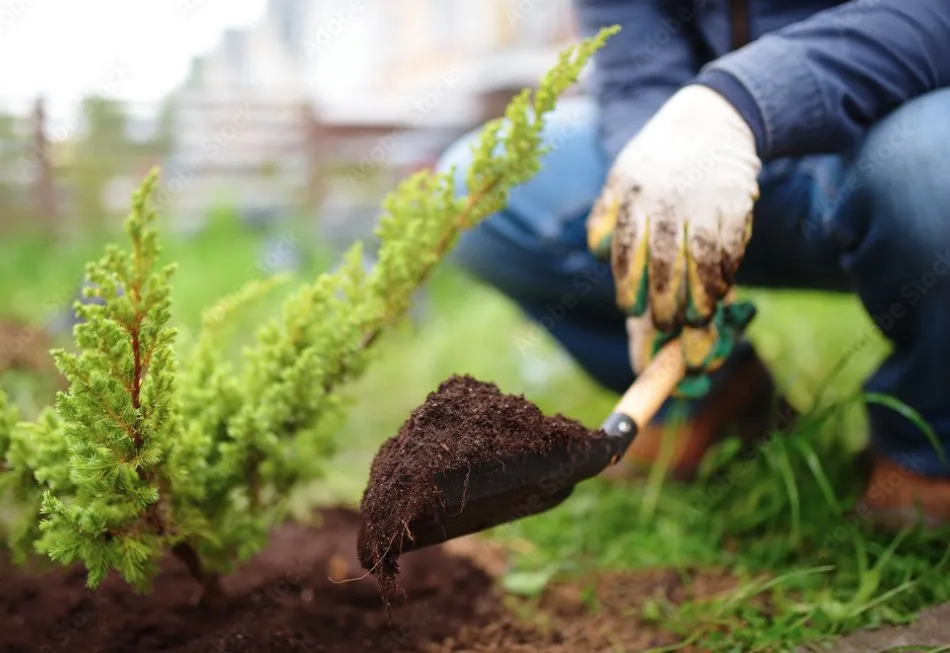 Reliable landscape design in Levittown, PA - Chirinos Landscaping