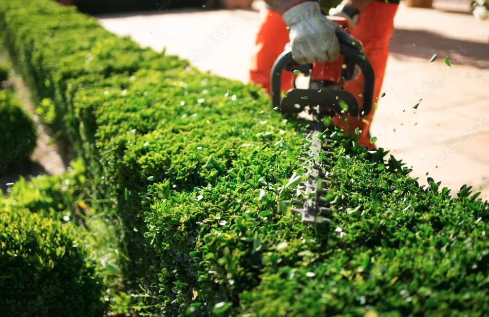 Affordable lawn mowing service experts serving Levittown, PA - Chirinos Landscaping