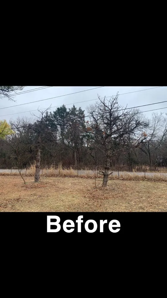 Reliable landscape installation for residential properties across Edmond, OK - Chisholm Tree & Lawn Solutions