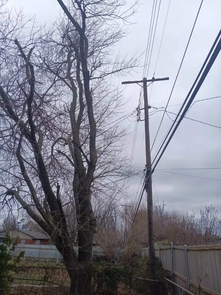 Top-rated residential landscaping for outdoor upgrades in Edmond, OK by Chisholm Tree & Lawn Solutions