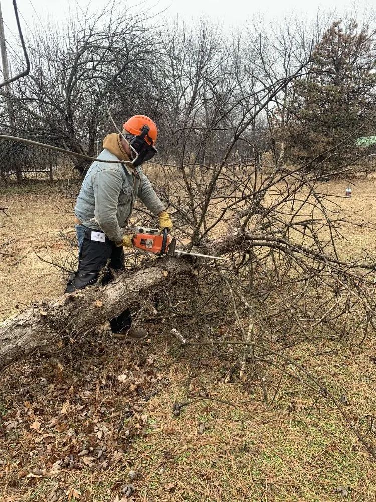 Expert yard maintenance for homes across Edmond, OK - Chisholm Tree & Lawn Solutions