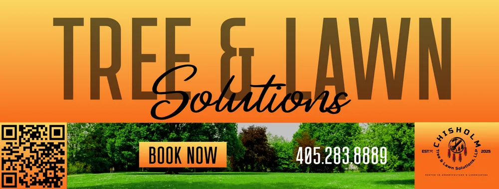Professional landscaping services for year-round maintenance across Edmond, OK - Chisholm Tree & Lawn Solutions