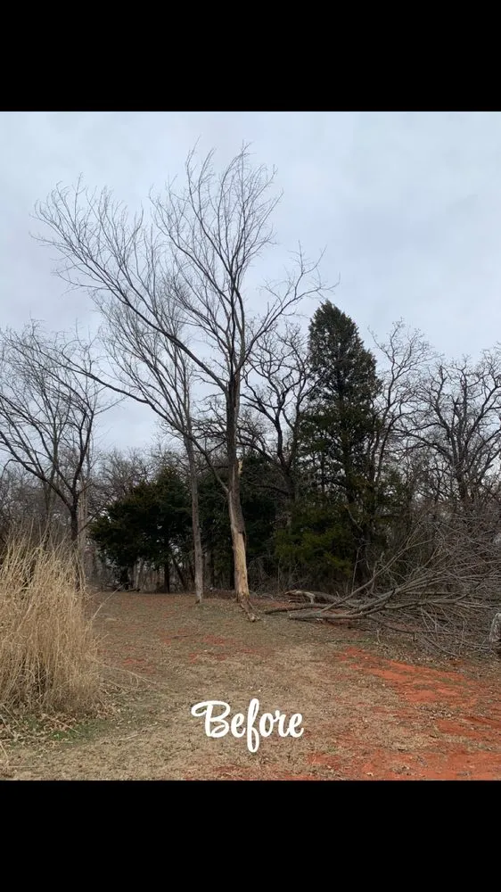 Professional yard cleanup service for outdoor upgrades across Edmond, OK - Chisholm Tree & Lawn Solutions