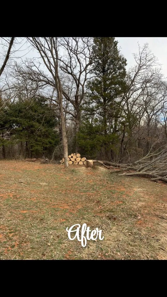 Professional yard maintenance in Edmond, OK - Chisholm Tree & Lawn Solutions