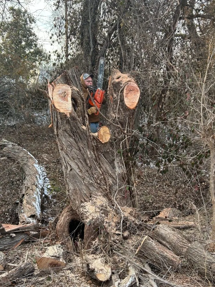 Affordable outdoor landscaping in Edmond, OK - Chisholm Tree & Lawn Solutions