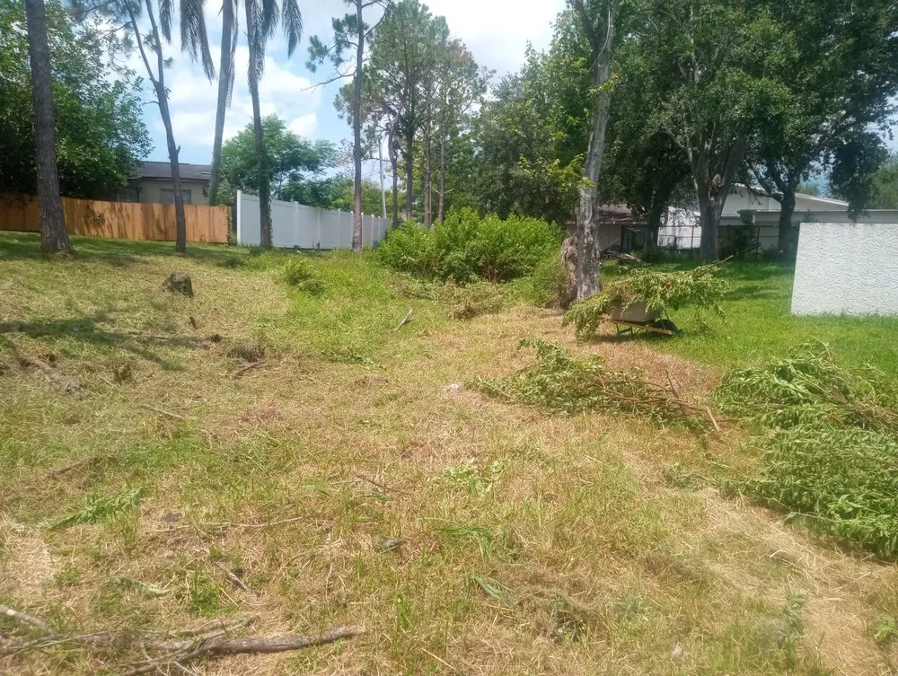 Professional outdoor landscaping experts serving Clearwater, FL - Chisholm's Lawncare