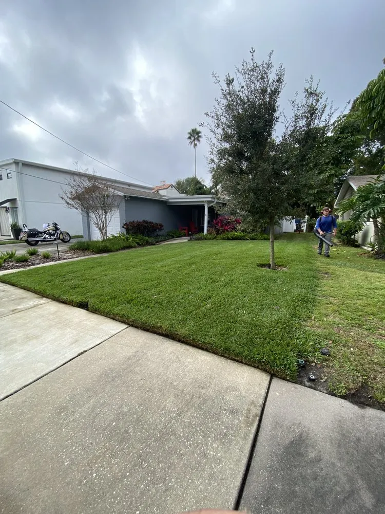 Reliable yard maintenance for residential properties across Tampa, FL - Chism Landscape Company